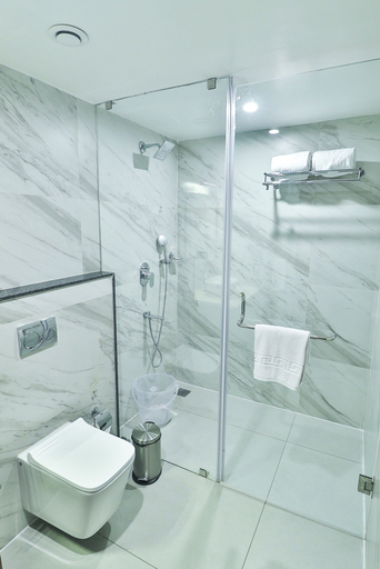 Bathroom 4, Royal Ritis, Belgaum