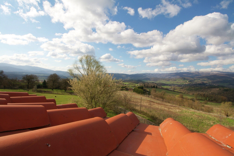 View from property 4, Apartment in Tuscany near Vineyards, Arezzo