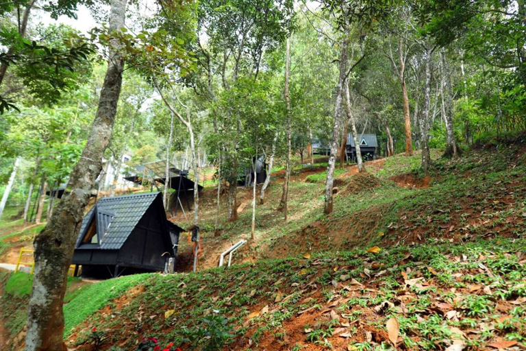 Others 5, Garden of eden-Thottam, Idukki