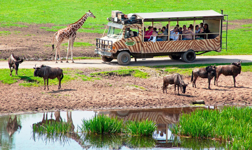 Others 5, Serengeti Park Resort, Heidekreis