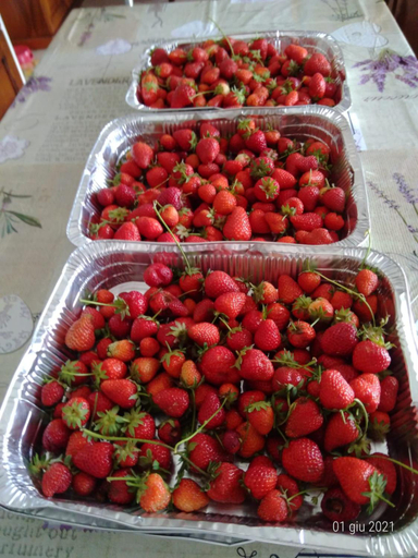 Food & Drinks 4, Agriturismo Caruggiu di via vecchia, Savona