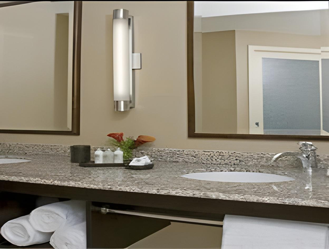 Bathroom 5, Andaz Savannah, By Hyatt, Chatham