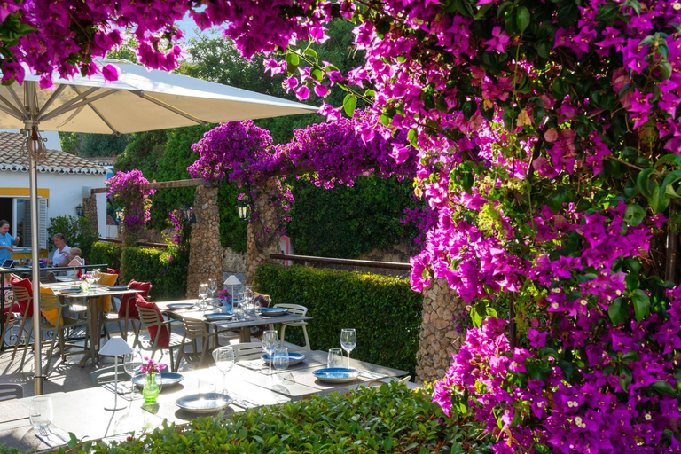 Food & Drinks 5, Quinta Do Paraiso - AL, Lagoa