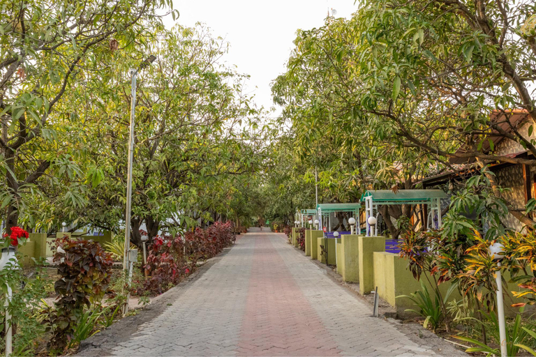 Public Area 3, Daksh Resort And Amusement Park, Junagadh