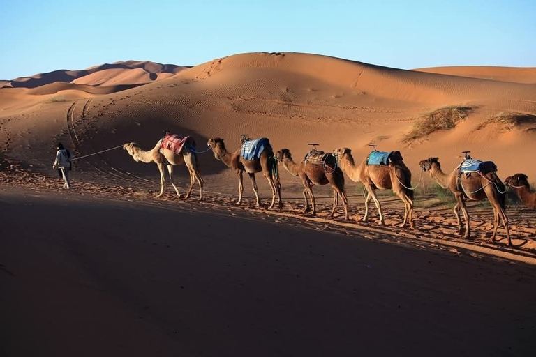 Others 3, Akwabir Eco Camp, Ouarzazate
