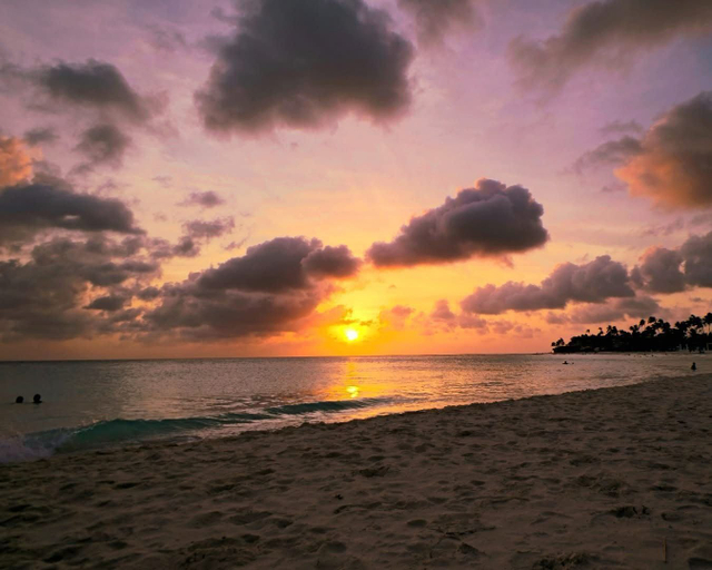 Others 5, Eagle Stays Aruba