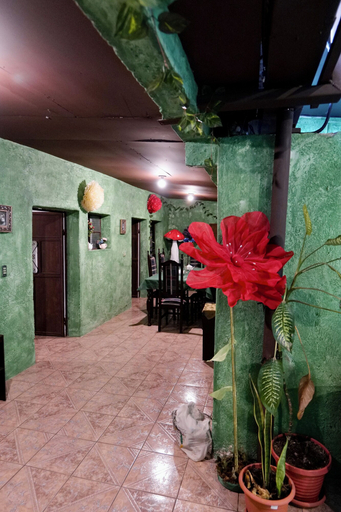 Others 5, Wonderland Hostel, Antigua Guatemala