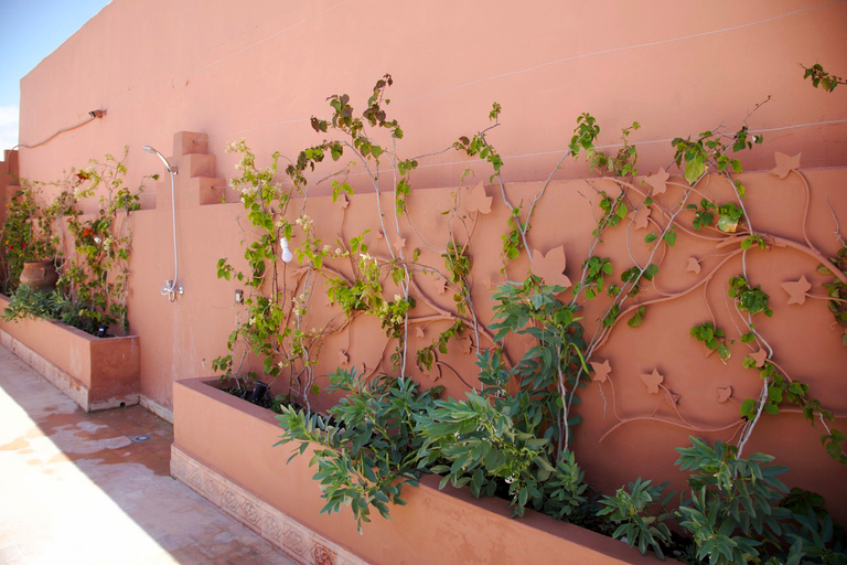 Others 4, Riad Darone Spa, Marrakech