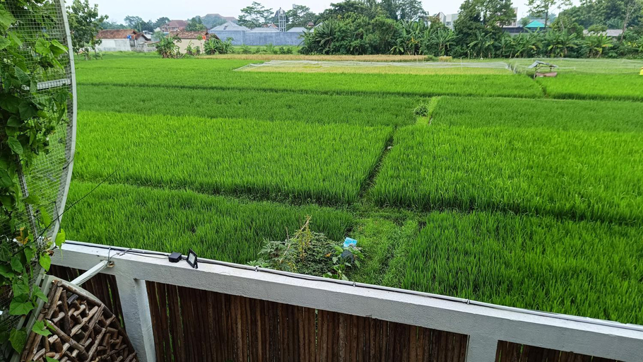 Scenery