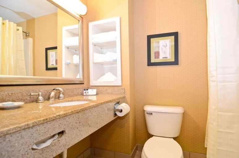 Bathroom 3, Best Western Windsor Inn & Suites, Danville