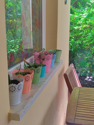 Others 5, Domo Janas GuestHouse, Olbia-Tempio