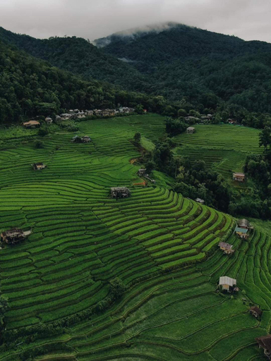 Scenery 7