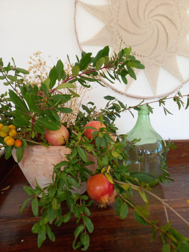 Others 5, B&B Sperlonga, Foggia