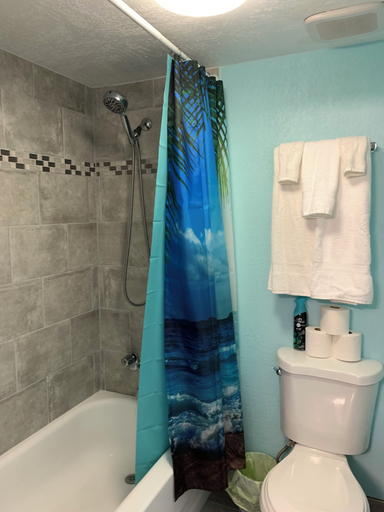 Bathroom 3, Sunrise on the Beach, Volusia
