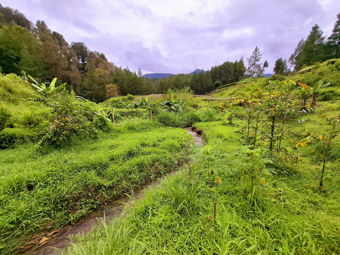 Scenery 10