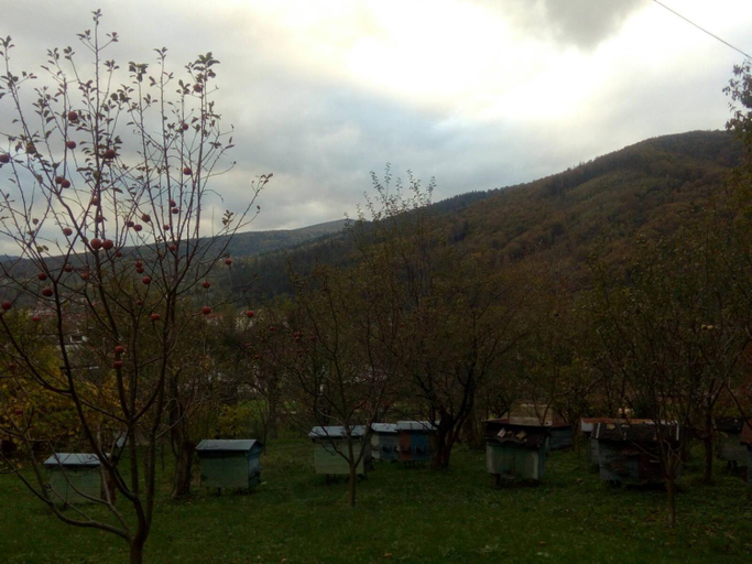 Others 5, Затишок, Iaremchans'ka