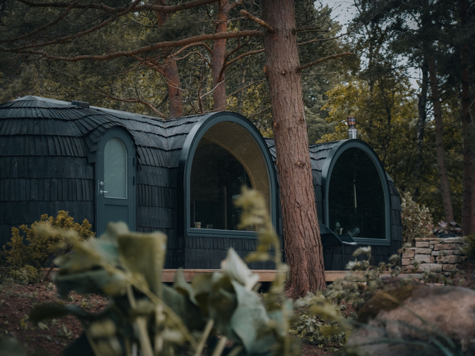 Exterior & Views 2, The Forest at Mount Congreve Gardens