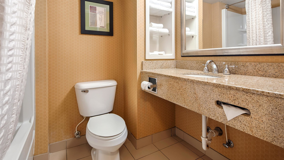 Bathroom 3, Best Western Windsor Inn & Suites, Danville