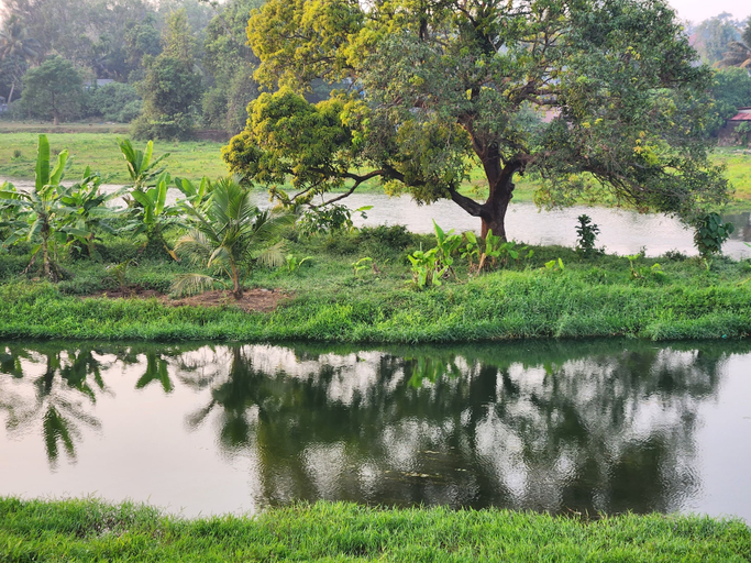 Scenery 9