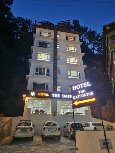 Others 5, Daffodils - The White House - Shimla, Shimla