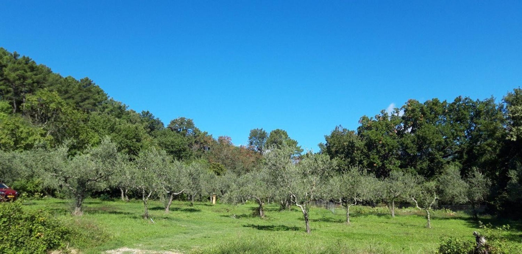 Others 3, Agricampeggio Borgo Agna, Arezzo
