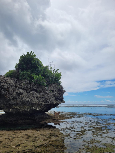Scenery 17