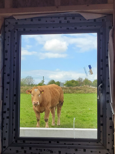 View from property 2, Immaculate 2-bed Cottage in Tuam