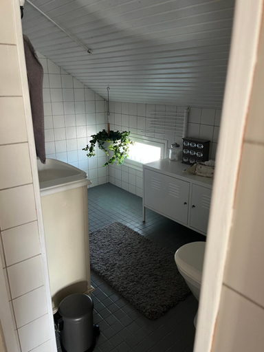 Bathroom, Idyllic upstairs apartment with two bedrooms, North Karelia