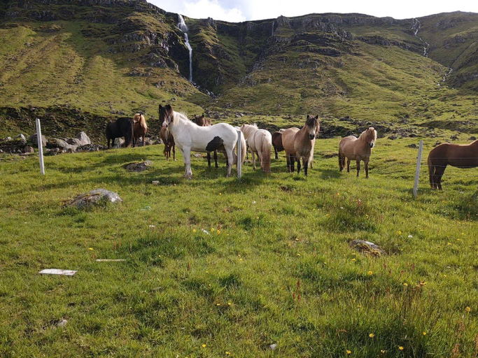 Others 5, Kirkjufell View Cottages, Eyrarsveit