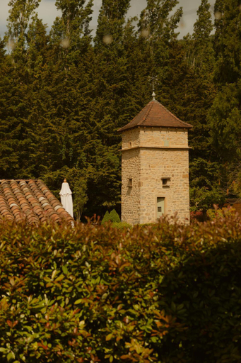 Tomette Singuliere, Saône-et-Loire
