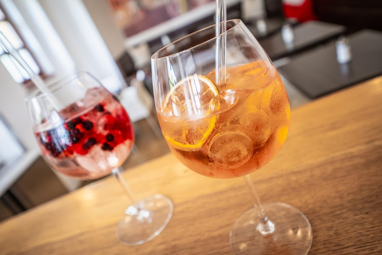 Food & Drinks 5, Penzion Mnich, Jindřichův Hradec