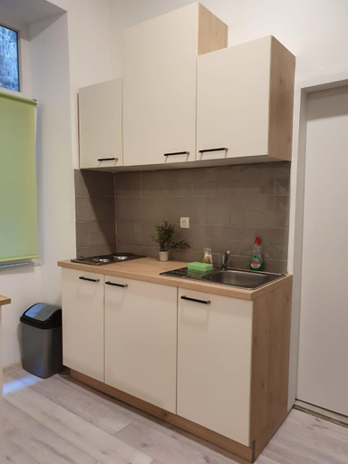 Kitchen 5, Apartmani DRAGA, Rijeka