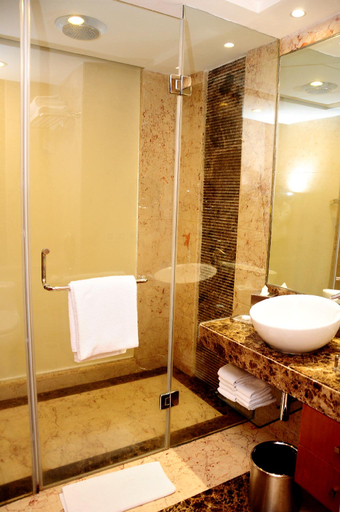 Bedroom 4, Radisson Blu Plaza Delhi, West