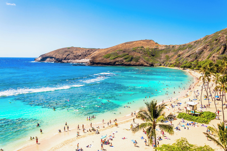 Others 5, Ocean View 1BR at Ilikai Marina, Honolulu