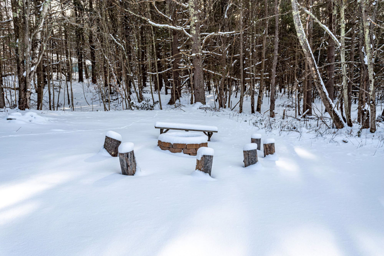 Room 4, Ski Hike Lodge 5BR w Fire Pit Cozy Spaces, Greene