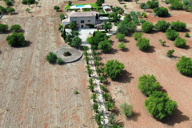 Others 3, Villa Son Guinyol by Slow Villas, Baleares