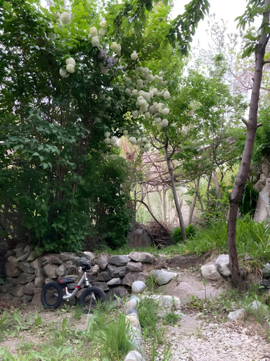 Others 4, Des Dastaan Hotel Skardu, Northern Areas