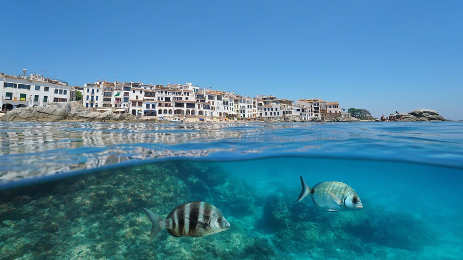 Room 5, Margell G-2 in Calella de Palafrugell, Girona