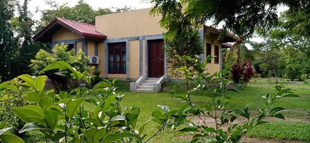 Primary image
