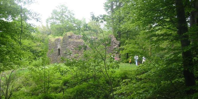 Ferienwohnungen Am Eifelsteig, Vulkaneifel