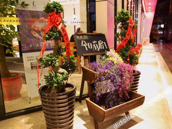 Others 3, wuyishanlifengjiudian, Nanping