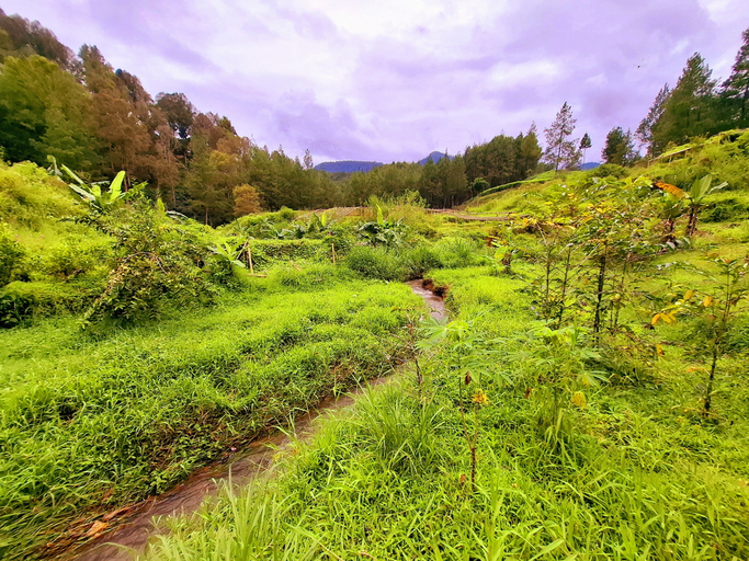 Scenery 5