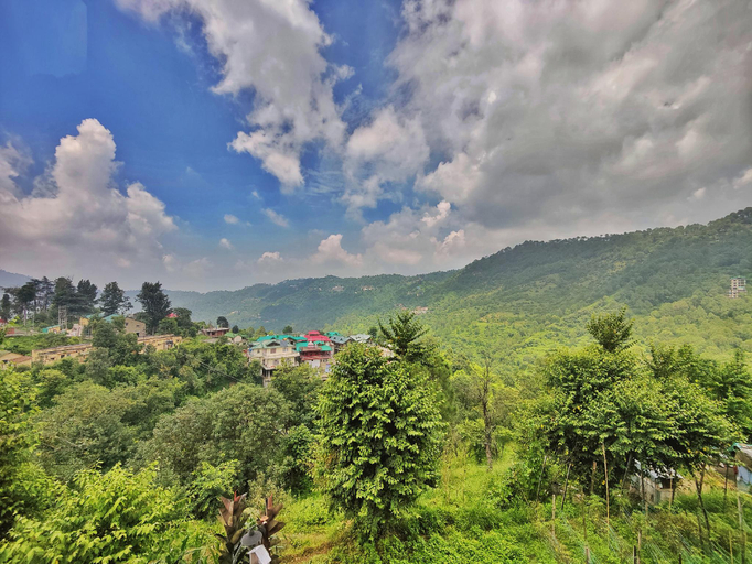 Others 5, Homz in Valley, Solan