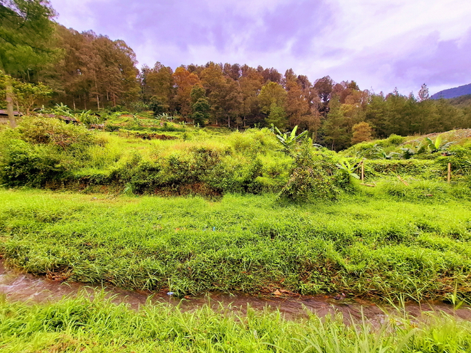 Scenery 8