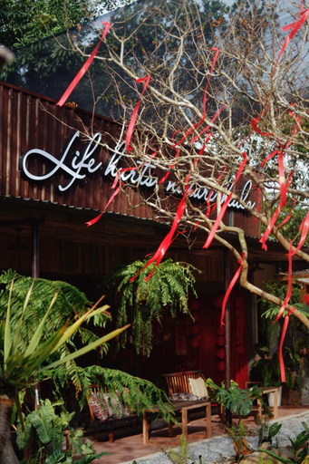 Others 2, Harmony Garden - Home and Coffee, Huế