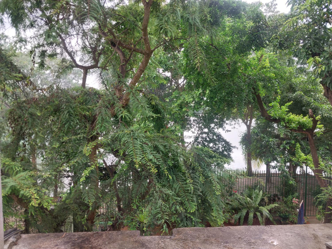 Others 5, Lake Wave Hotel, N. Palatha East