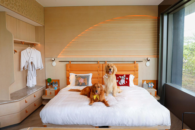 Bedroom 15