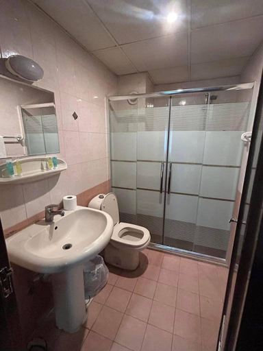 Bathroom, Larnaka Hotel, Wadi Essier