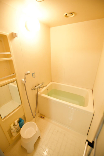 Bathroom 3, 大阪ルミエール夕陽丘, Osaka