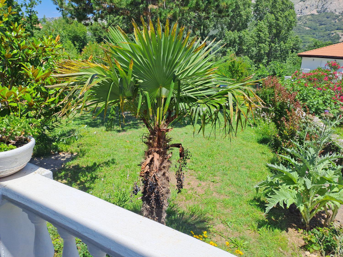 Others 5, Apartman Put 2, Baška